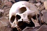 Хто келихує на могилах?