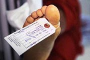 В защиту биомассы