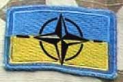 Что же будет с родиной и с НАТО?