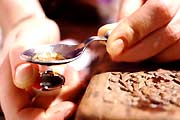 Сюрреалистическое поле  и наркоман в багажнике