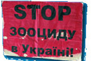 Собаки, храни их Бог...