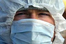 Так называемый свиной грипп добрался до Киева