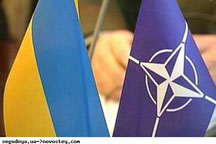 Эксперт: НАТО будет ждать окончания выборов в Украине