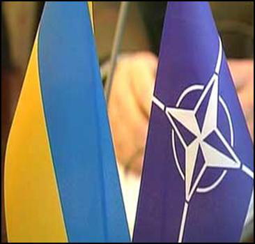 Действия Украины запутали руководство НАТО!