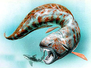 360 млн. лет назад рыбы уступили место человеку?