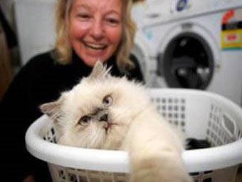 Котенка полчаса «колбасило» в стиральной машине...