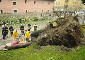 Львовскую область атаковал ураган. Есть пострадавшие