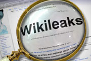 Много шума из WikiLeaks