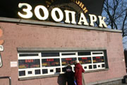 Киевский зоопарк: животных убивают и продают