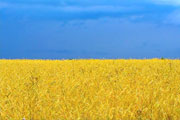 Национальная идея Украины. Вызовы XXI века