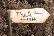 Вектор туды, вектор сюды