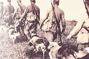 Август 1941-го: уникальный бой батальона советских пограничников и 150 служебных собак