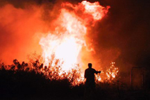 Полевой пожар на Буковине уничтожил пшеницу