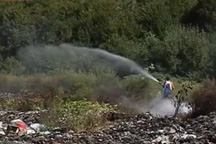 На Закарпатье горит свалка: из-за дыма и вони селяне не могут собирать урожай