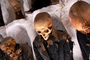 Путешествие в музей мертвецов: страшно до жути