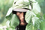 Невидимые солдаты зеленого фронта
