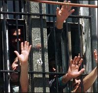 Азаров выпустит на свободу пятнадцать сотен заключенных
