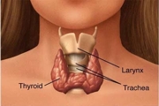Симптомы заболеваний щитовидной железы: когда со щитовидкой что-то не так