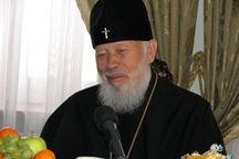 Митрополит Владимир запретил политагитацию в церкви