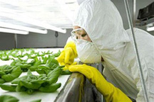 В Минздраве уверяют, что в Украине нет продуктов с ГМО
