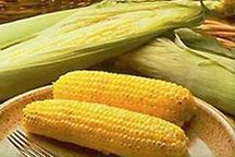 Украина отдаст китайцам свою кукурузу