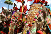 Покататься на слонах в Новый Год в Индии