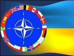 В НАТО стремится каждый пятый украинец