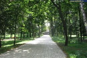 В Киеве обустроят парки