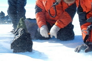В Антарктиде найден метеорит весом 18 кг