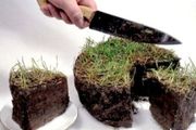 Как семья прокурора целый район приватизировала