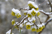 Весна не спешит радовать украинцев