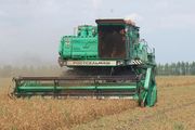 35 миллионов тонн зерна собрали украинские хлеборобы