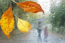 Синоптики пообещали, что будет только хуже: дожди не прекратятся до октября