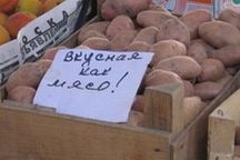6 гривен не предел: картошка может стать еще дороже