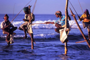 Особенности национальной рыбалки в Шри Ланке