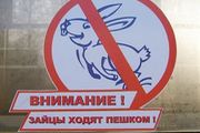 «Укрзализныця» массово охотится на «зайцев»: оштрафовано 44 тысячи человек