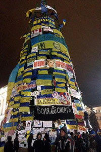 Революционеры ругаются из-за портрета Тимошенко на  елке