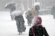 Испытание снегом и ветром: в Украине обесточены сотни населенных пунктов