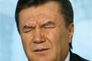 В резиденции Януковича нашли отчеты на миллиарды гривен и склад оружия