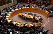 Кто срежиссировал события в Украине? Мнения членов СБ ООН 