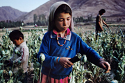Афганистан глазами Стива Мак-Карри. ФОТО
