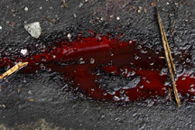 Террористы в Горловке публично казнили двух начальников УВД - СМИ