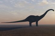 10 видов динозавров, открытых в последнее время