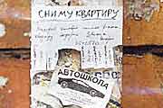 Тоска объявлений