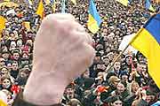 Вопросы, вопросы, вопросы…