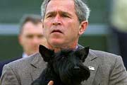 Фатальные ошибки Буша