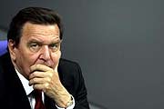 Шредер: Европа должна восстановить "стратегические отношения с Россией"