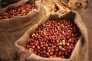 Кофе в Украине подорожает еще на 15% в январе 