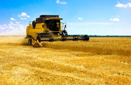 В Украине производство зерна сократилось вдвое