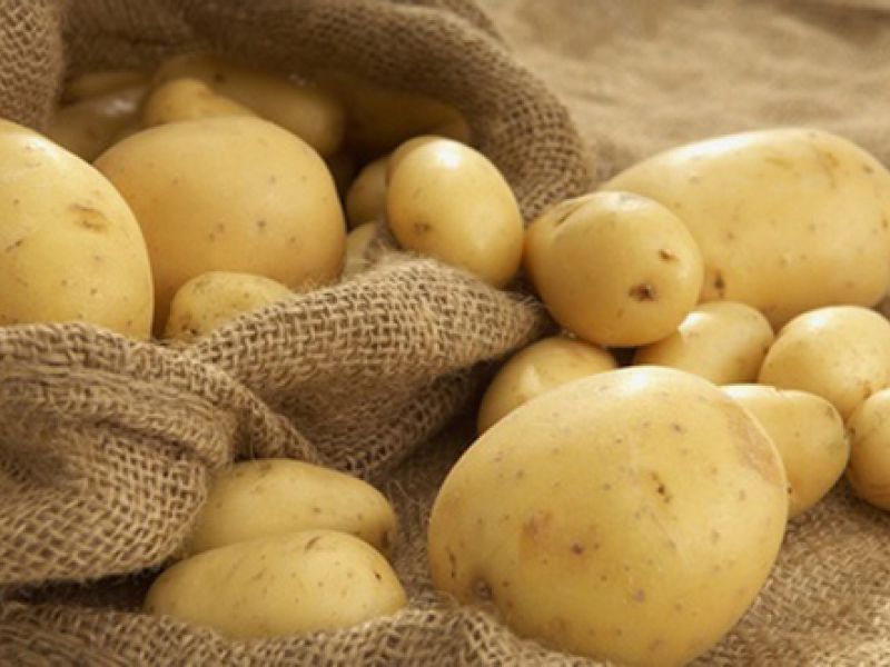 Беларусь «реабилитировала» украинскую картошку